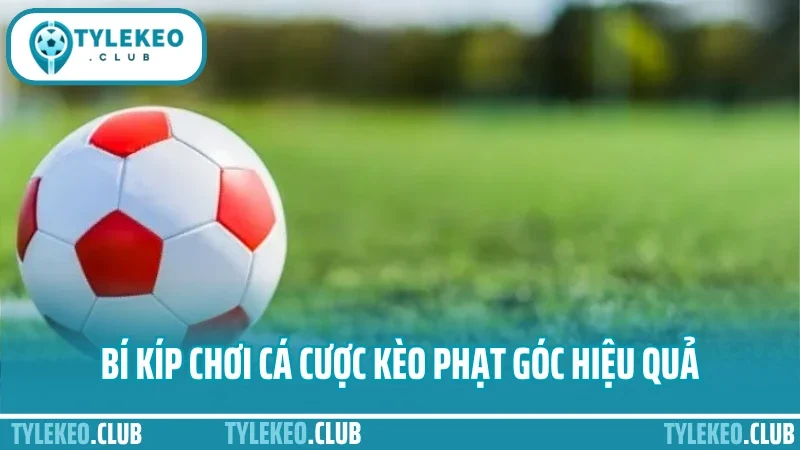 Cá cược kèo phạt góc – đọc trận tấn công để bắt cửa chuẩn 5 Bí kíp chơi cá cược kèo phạt góc hiệu quả