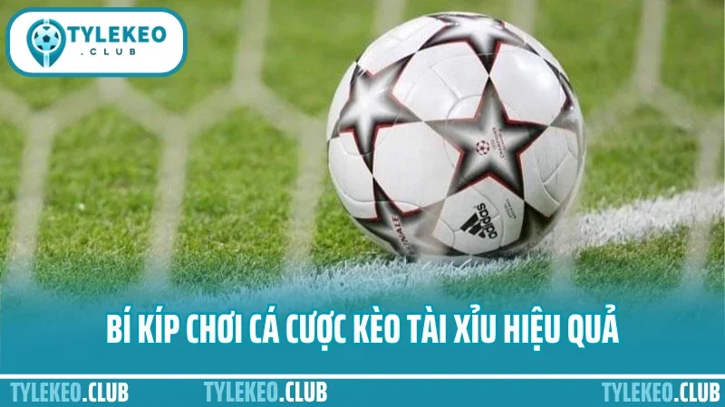 Cá cược kèo tài xỉu – mẹo canh tỷ lệ bàn thắng dễ trúng 5 Bí kíp chơi cá cược kèo tài xỉu hiệu quả