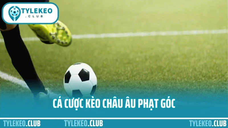 Cá cược kèo phạt góc – đọc trận tấn công để bắt cửa chuẩn 3 Cá cược kèo châu âu phạt góc