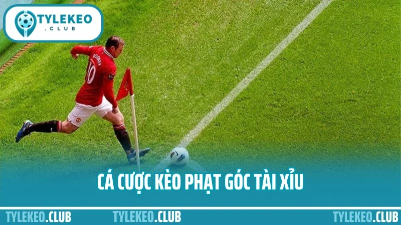Cá cược kèo phạt góc – đọc trận tấn công để bắt cửa chuẩn 2 Cá cược kèo phạt góc tài xỉu