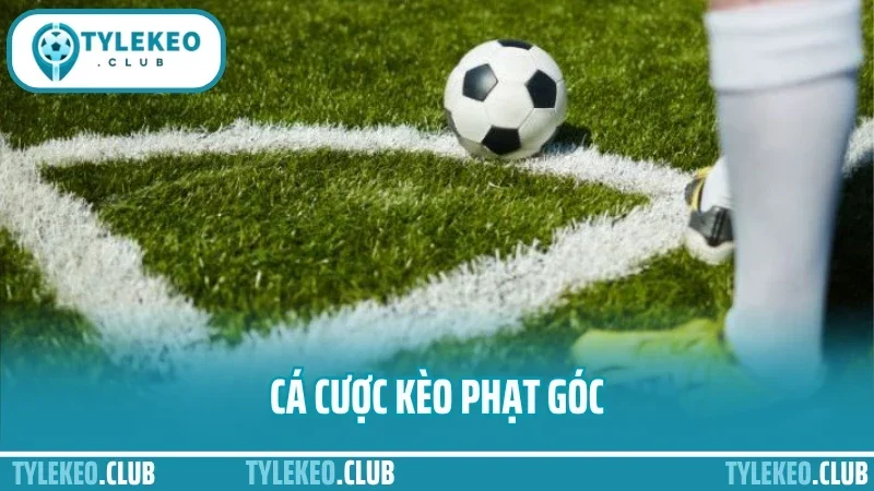 Cá cược kèo phạt góc