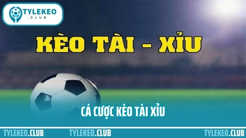 Cá Cược Kèo Tài Xỉu