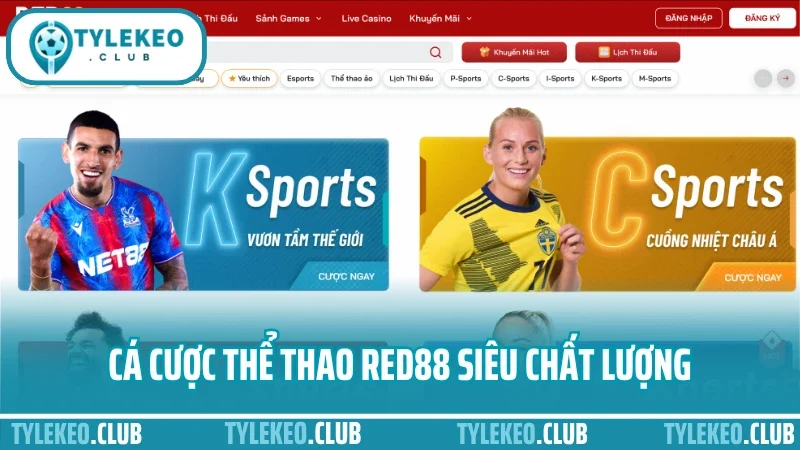Red88 - uy tín cược thể thao với tỷ lệ hấp dẫn và minh bạch 6 Cá cược thể thao red88 siêu chất lượng