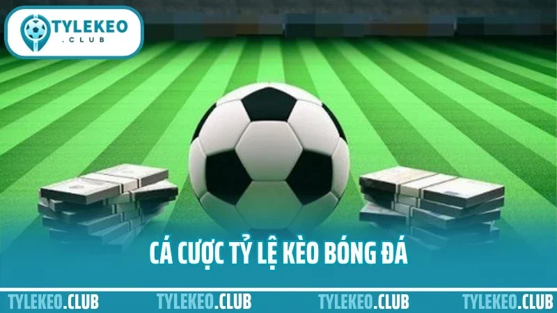 Cá Cược Tỷ Lệ Kèo Bóng Đá