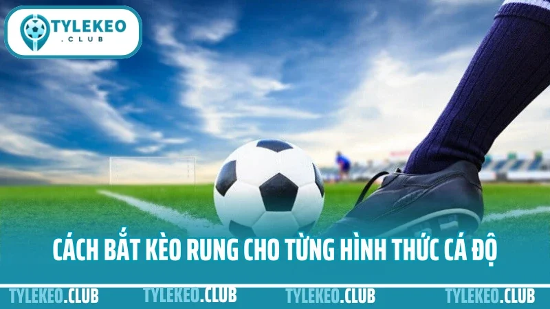 Cách bắt kèo rung - kinh nghiệm đặt cược phút 60+ không lỗ 2 Cách bắt kèo rung cho từng hình thức cá độ phổ biển