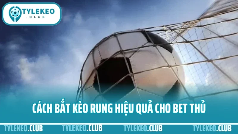 Cách bắt kèo rung - kinh nghiệm đặt cược phút 60+ không lỗ 5 Cách bắt kèo rung hiệu quả cho bet thủ