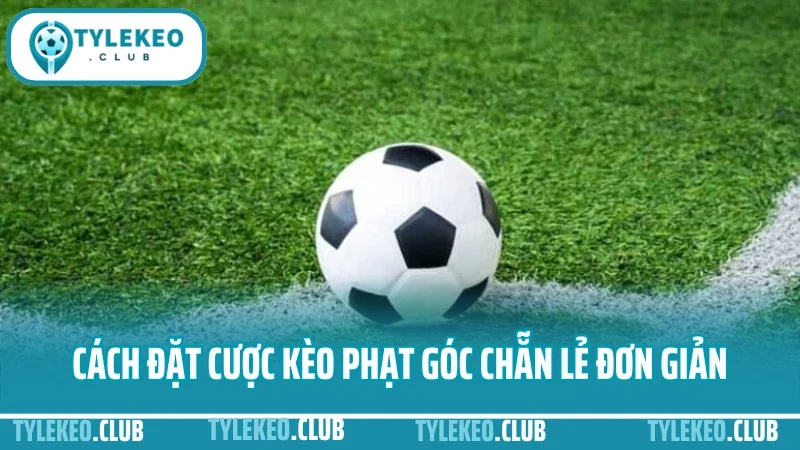 Cách đặt kèo phạt góc - đọc chỉ số tấn công chuẩn từng trận 3 Cách đặt cược kèo phạt góc chẵn lẻ đơn giản