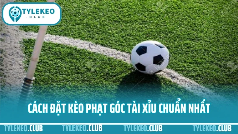 Cách đặt kèo phạt góc - đọc chỉ số tấn công chuẩn từng trận 2 Cách đặt kèo phạt góc tài xỉu chuẩn nhất