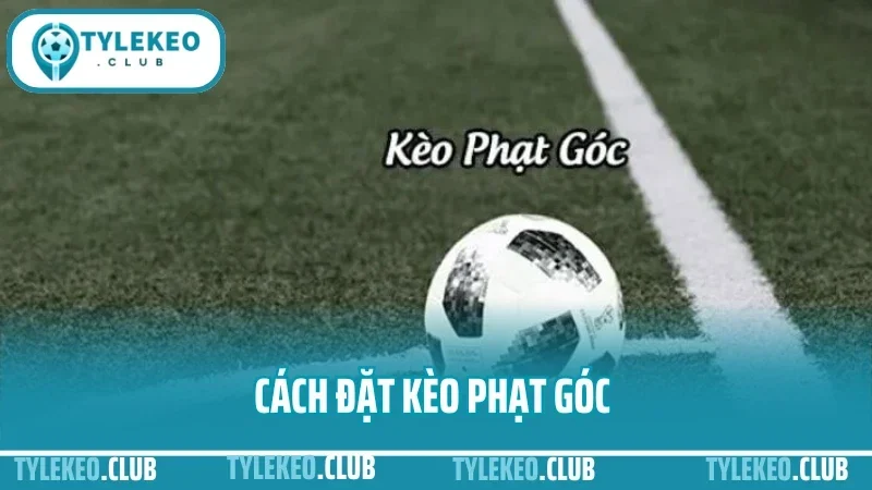 Cách Đặt Kèo Phạt Góc - Đọc Chỉ Số Tấn Công Chuẩn Từng Trận