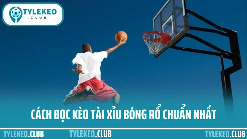 Mẹo cược bóng rổ tài xỉu - theo nhịp trận là kèo tài dễ trúng 2 Cách đọc kèo tài xỉu bóng rổ chuẩn nhất