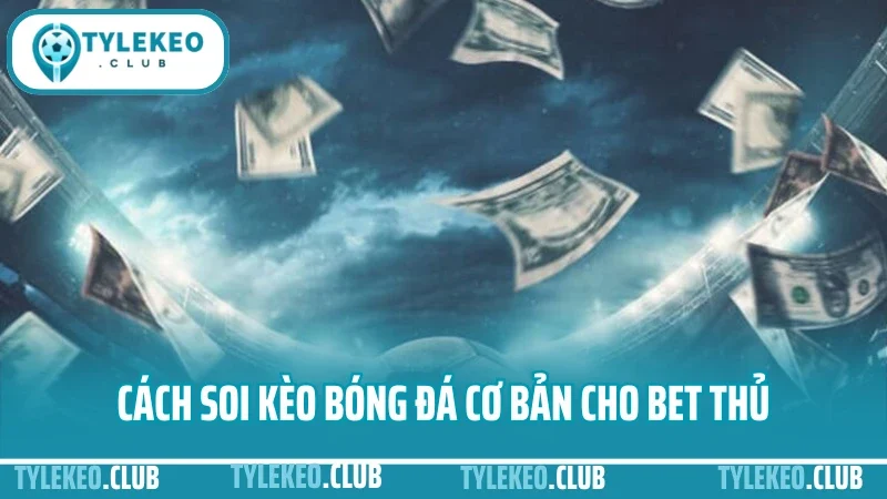 Hướng dẫn soi kèo bóng đá - từ chọn trận đến soi odds hiệu quả 2 Hướng dẫn soi kèo bóng đá cơ bản cho bet thủ