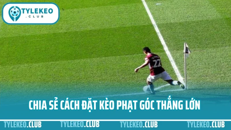 Cách đặt kèo phạt góc - đọc chỉ số tấn công chuẩn từng trận 4 Chia sẻ cách đặt kèo phạt góc thắng lớn cho bet thủ