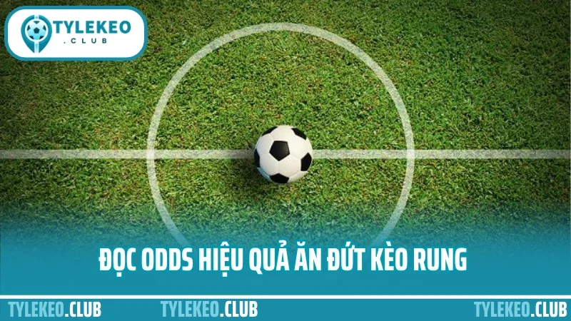 Mẹo đánh kèo rung - vào đúng giờ, gỡ kèo cũ, tăng lợi nhuận 5 Đọc odds hiệu quả ăn đứt kèo rung