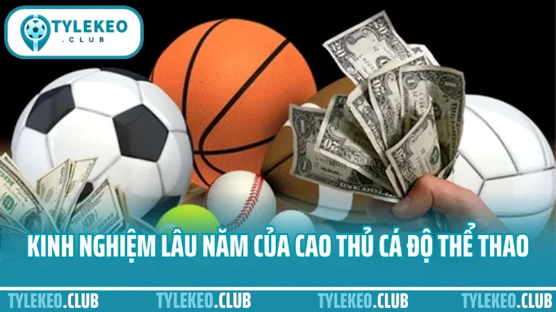 Mẹo chọn trận dễ cược trong ngày - xem odds, phong độ, lịch sử 4 Gợi ý kinh nghiệm lâu năm của cao thủ cá độ thể thao