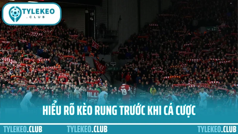 Hiểu rõ kèo rung trước khi cá cược 