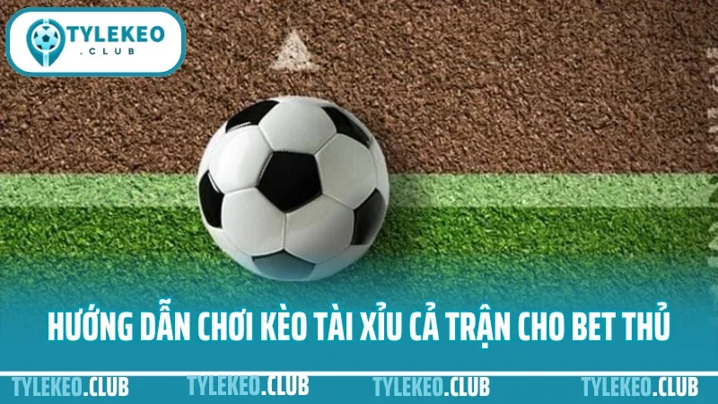 Hướng dẫn chơi kèo tài xỉu - cách bắt cửa trên dưới linh hoạt 2 Hướng dẫn chơi kèo tài xỉu cả trận cho bet thủ