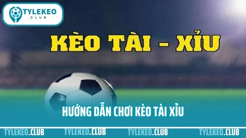 Hướng Dẫn Chơi Kèo Tài Xỉu - Cách Bắt Cửa Trên Dưới Linh Hoạt