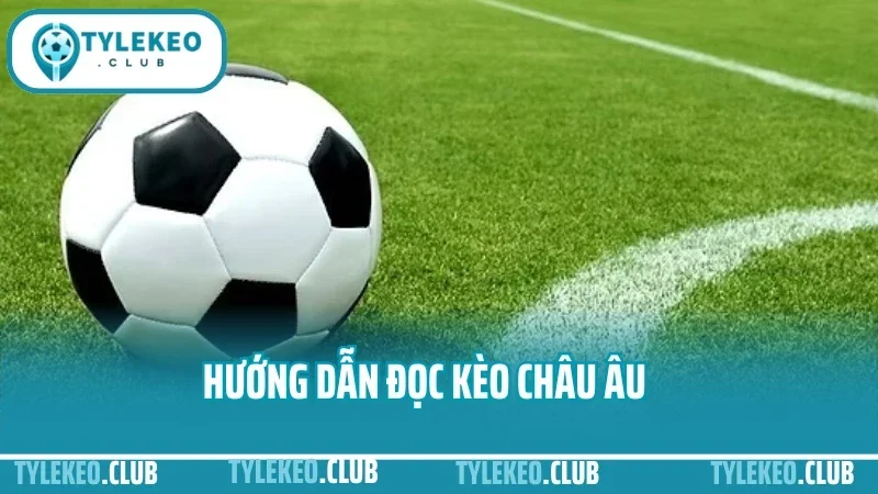 Hướng Dẫn Đọc Kèo Châu Âu - Tránh Kèo Dụ Khi Soi Tỷ Lệ 1X2