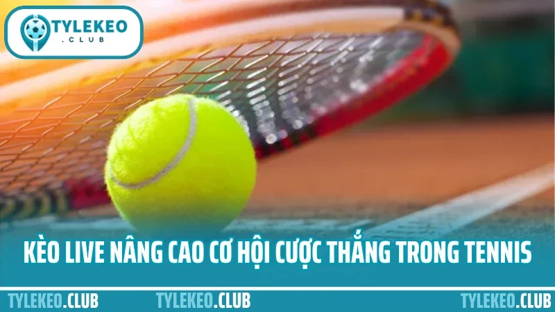 Kinh nghiệm cược tennis - phân tích theo set làm chủ tỷ lệ 4 Kèo live nâng cao cơ hội cược thắng trong tennis