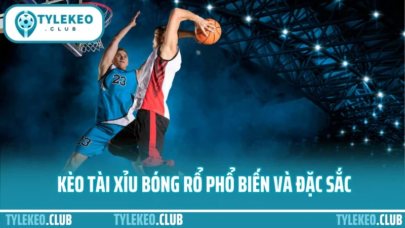Mẹo cược bóng rổ tài xỉu - theo nhịp trận là kèo tài dễ trúng 1 Kèo tài xỉu bóng rổ phổ biến và đặc sắc