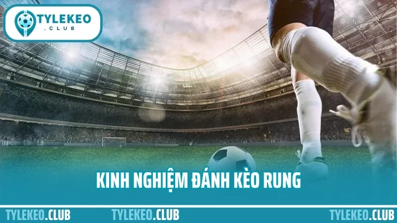Kinh Nghiệm Đánh Kèo Rung