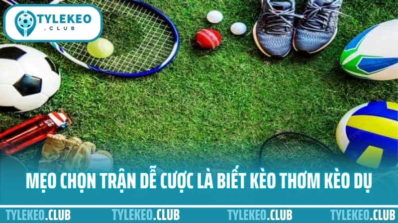 Mẹo chọn trận dễ cược trong ngày - xem odds, phong độ, lịch sử 1 Mẹo chọn trận dễ cược trong ngày là biết rõ kèo thơm kèo dụ