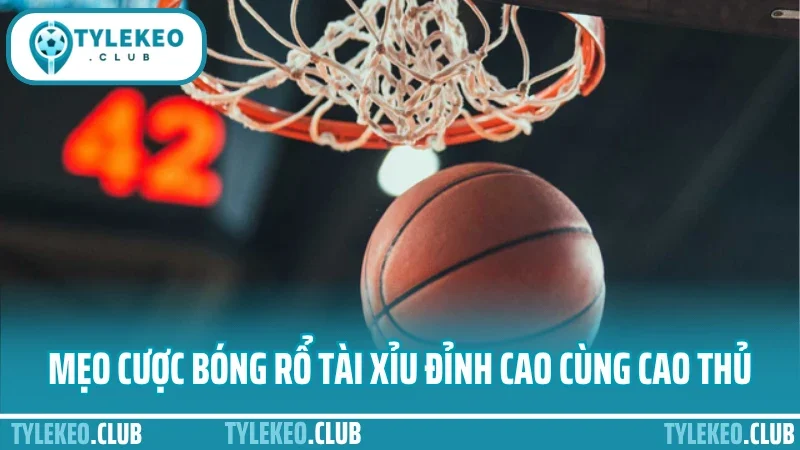 Mẹo cược bóng rổ tài xỉu - theo nhịp trận là kèo tài dễ trúng 3 Mẹo cược bóng rổ tài xỉu đỉnh cao cùng cao thủ
