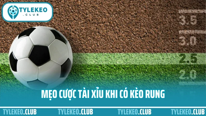 Mẹo cược tài xỉu - cách canh biến động kèo để tối ưu cửa đặt 3 Mẹo cược tài xỉu khi có kèo rung