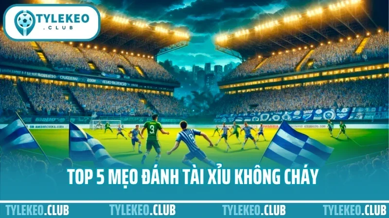 Mẹo Cược Tài Xỉu