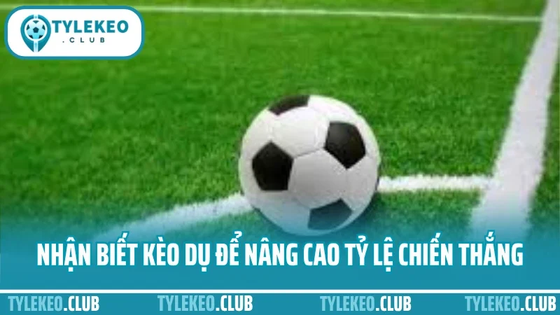Cá cược tỷ lệ kèo bóng đá – cách soi odds chuẩn từng trận 4 Nhận biết kèo dụ để nâng cao xác suất chiến thắng
