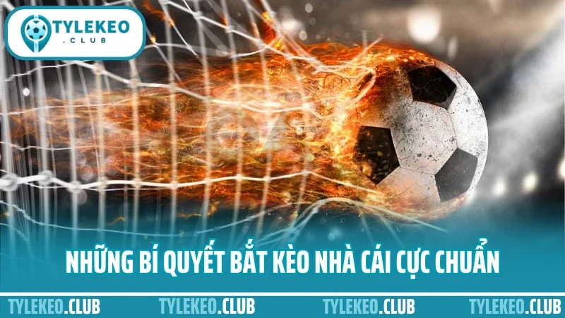 Kèo nhà cái 3 Những bí quyết bắt kèo nhà cái cực chuẩn