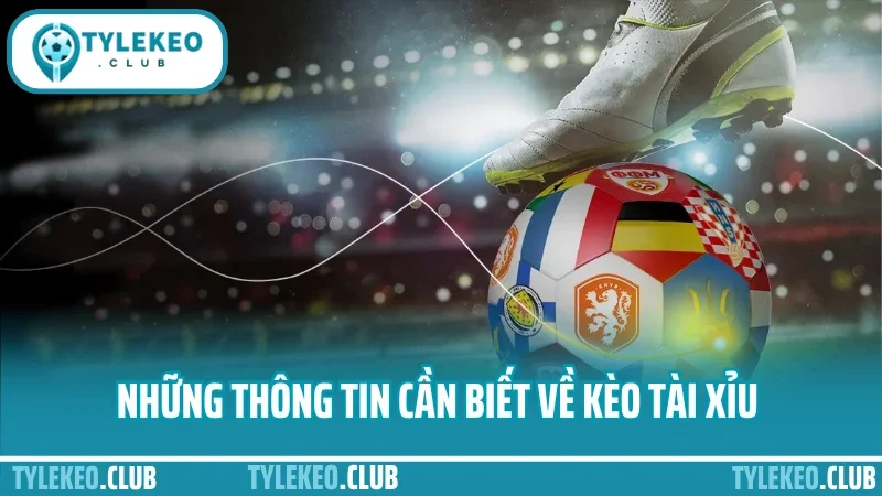 Mẹo bắt kèo tài xỉu - đọc chỉ số bàn thắng không cần may mắn 1 Những thông tin cần biết về kèo tài xỉu