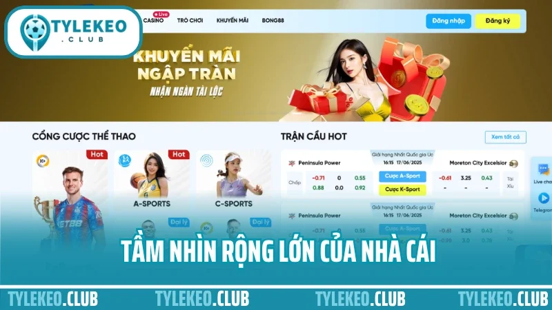 8live - sân chơi cá cược thể thao uy tín cho người mới 1 Tầm nhìn rộng lớn của nhà cái
