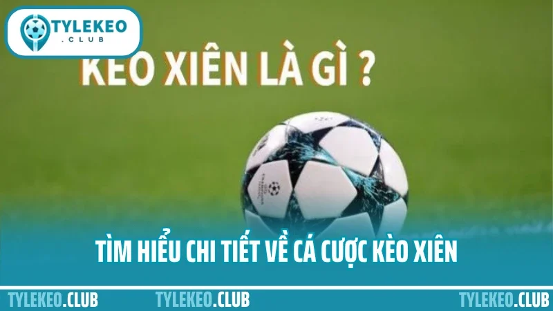 Cá cược kèo xiên – ghép kèo chuẩn tối ưu hóa tỷ lệ ăn tiền 1 Tìm hiểu chi tiết về cá cược kèo xiên