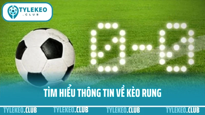 Cách bắt kèo rung - kinh nghiệm đặt cược phút 60+ không lỗ 1 Tìm hiểu thông tin về kèo rung
