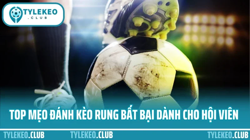 Mẹo đánh kèo rung - vào đúng giờ, gỡ kèo cũ, tăng lợi nhuận 4 Top mẹo đánh kèo rung bất bại dành cho hội viên