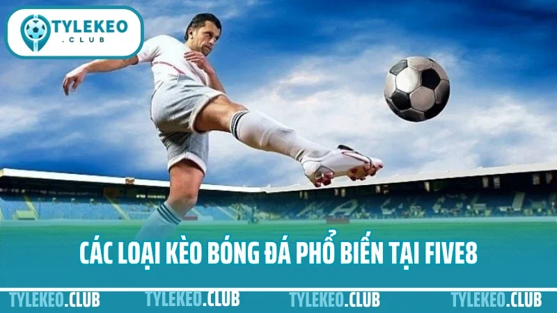 Hướng dẫn đặt cược bóng đá trên five88 giao diện, kèo, tỷ lệ, nạp rút 2 Các loại kèo bóng đá phổ biến tại five88
