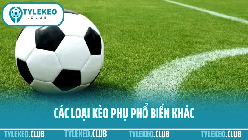 Hướng dẫn đặt cược bóng đá trên five88 giao diện, kèo, tỷ lệ, nạp rút 4 Các loại kèo phụ phổ biến khác