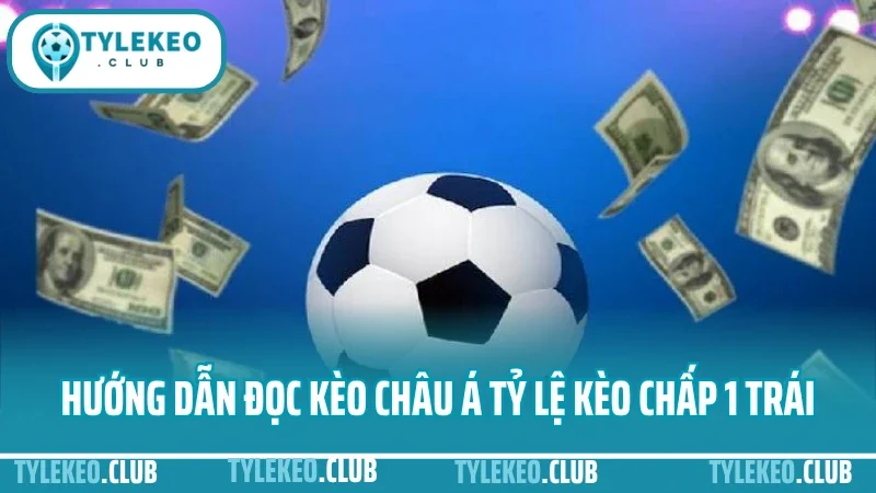 Hướng dẫn đọc kèo châu á – hiểu kèo trên kèo dưới trước khi bắt kèo five88 4 Hướng dẫn đọc kèo châu á tỷ lệ kèo chấp 1 trái hiệu quả