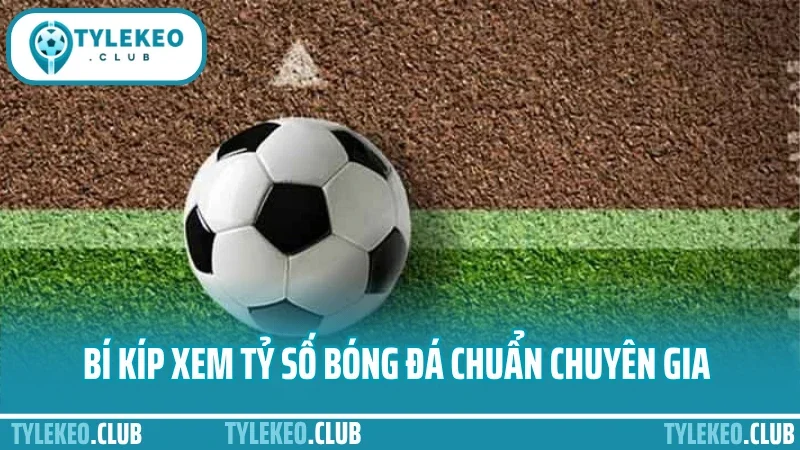 Bí kíp xem tỷ số bóng đá chuẩn chuyên gia 