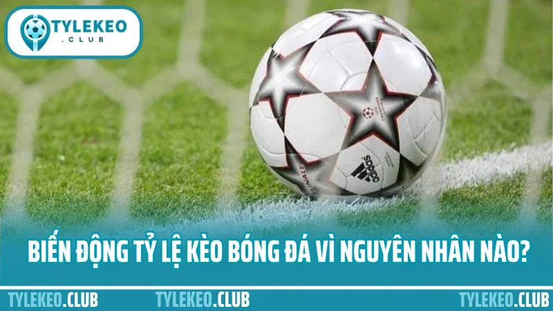 Biến động tỷ lệ kèo bóng đá vì nguyên nhân nào?