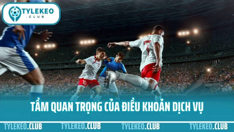 Tầm quan trọng của điều khoản dịch vụ trong cá độ bóng đá